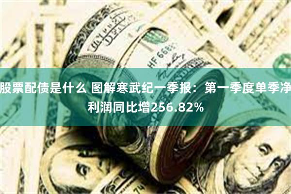 股票配债是什么 图解寒武纪一季报：第一季度单季净利润同比增256.82%